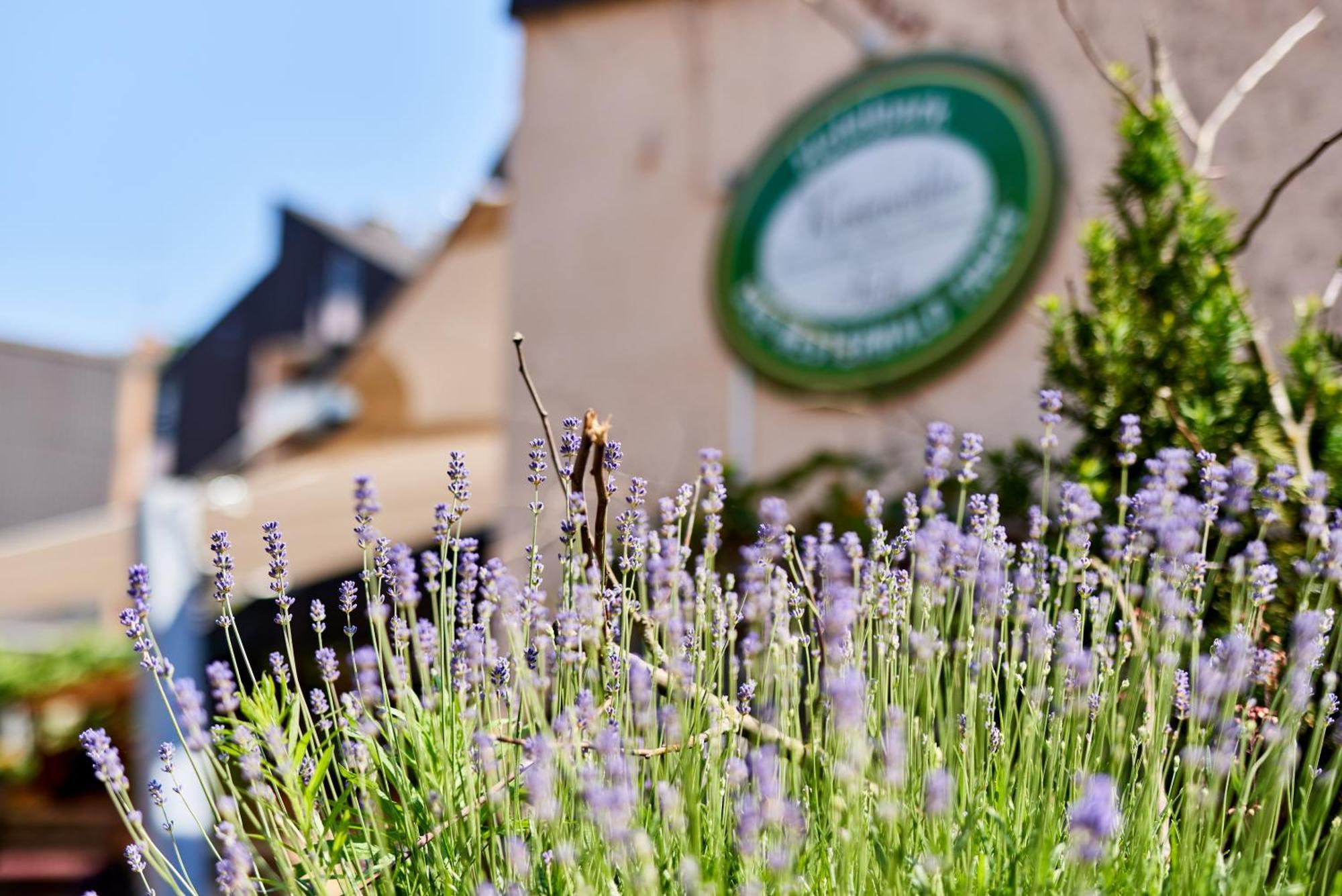 Hotelpark Der Westerwald Treff Oberlahr Kültér fotó